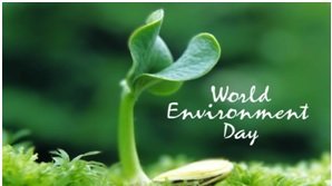 World environment day