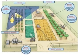 Automation and wireless system networks in agriculture