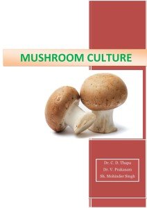 Cover Page Mashroom culture