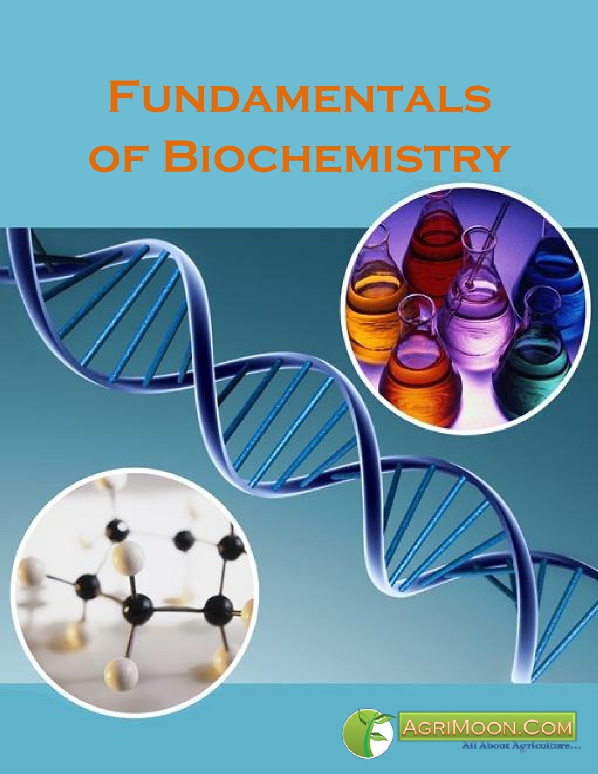 Biochemical engineering fundamentals pdf