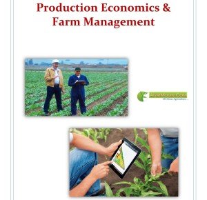 Cover of Production Economics