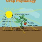 Cover page of Crop physiology