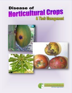 Disease of Horticultural Crops & their Management COVER