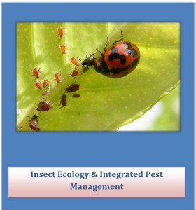 cover of Insect Ecology & Integrated Pest Management