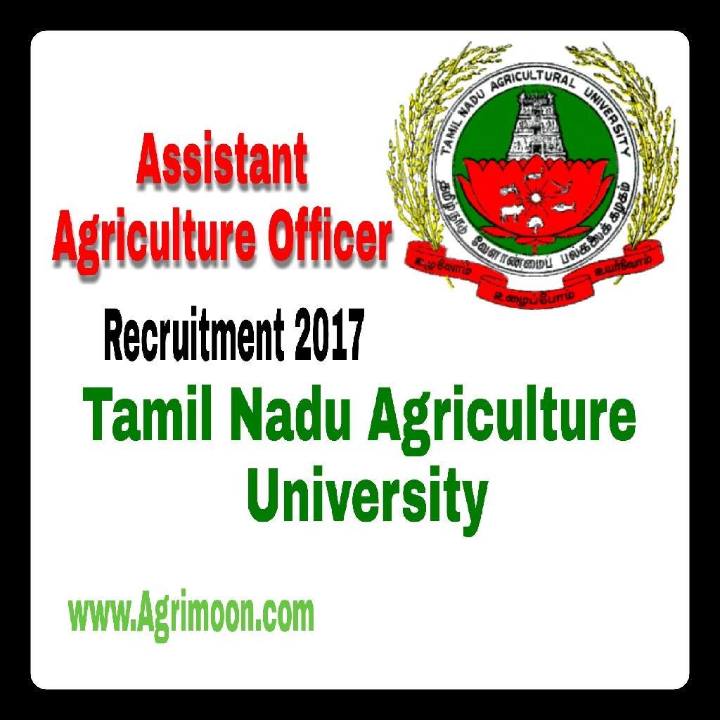 TNAU Recruitment 2024 for JRF/Technical Assistant