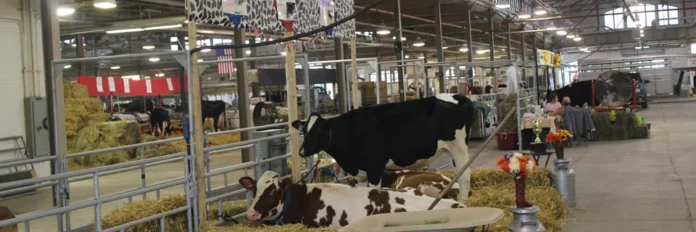 A Hub for Modern Dairy Processing