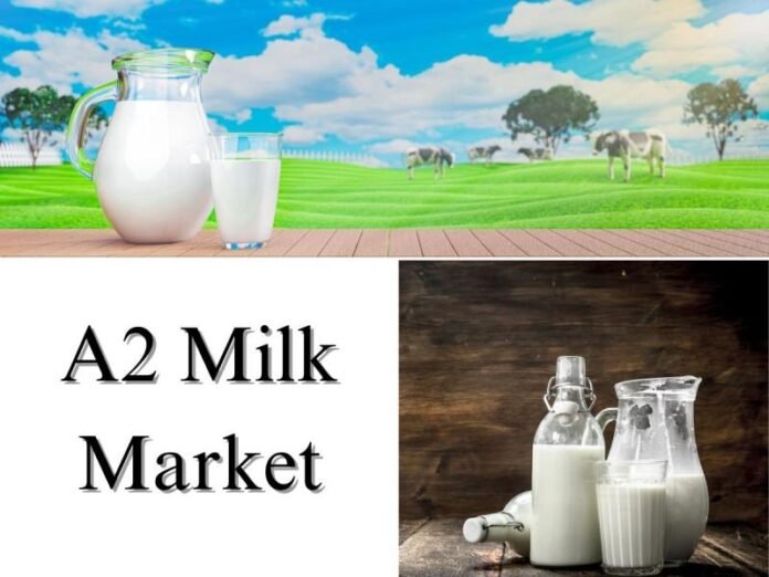 A2 Milk Market