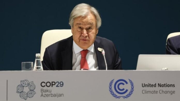 COP29