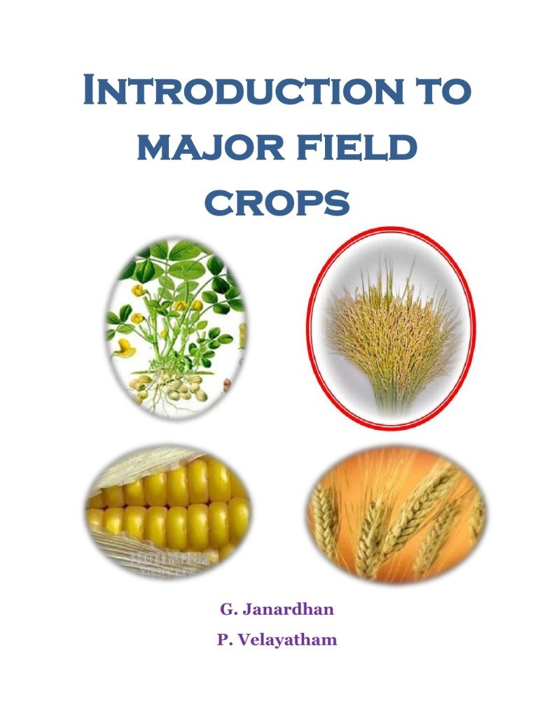 Introduction To Major Field Crops - ICAR ECourse PDF Book Free Download ...