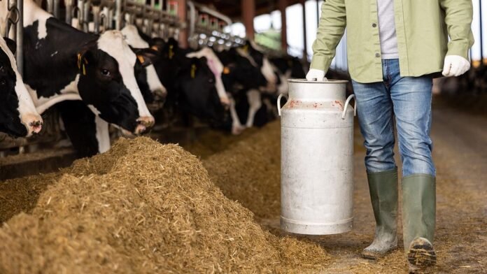 Dairy Farmers Drops Below 10,000 in Japan