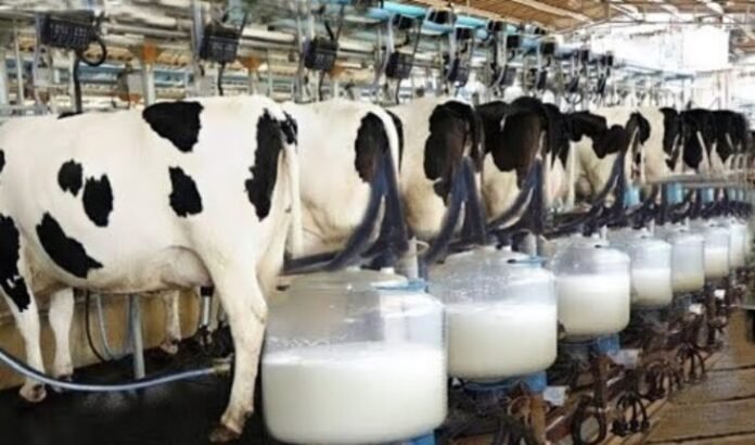 Dairy Industry Faces Challenges But Shows Resilience