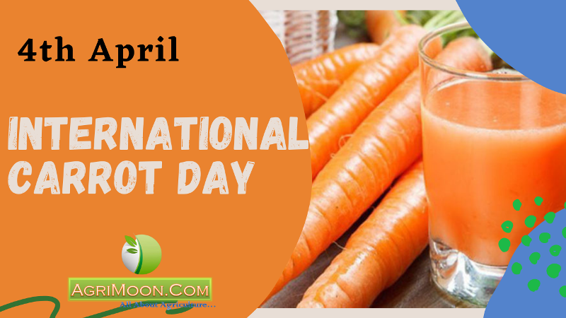 International Carrot Day 