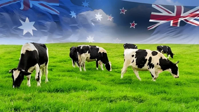 Aust, New Zealand to become cheaper from Jan 1