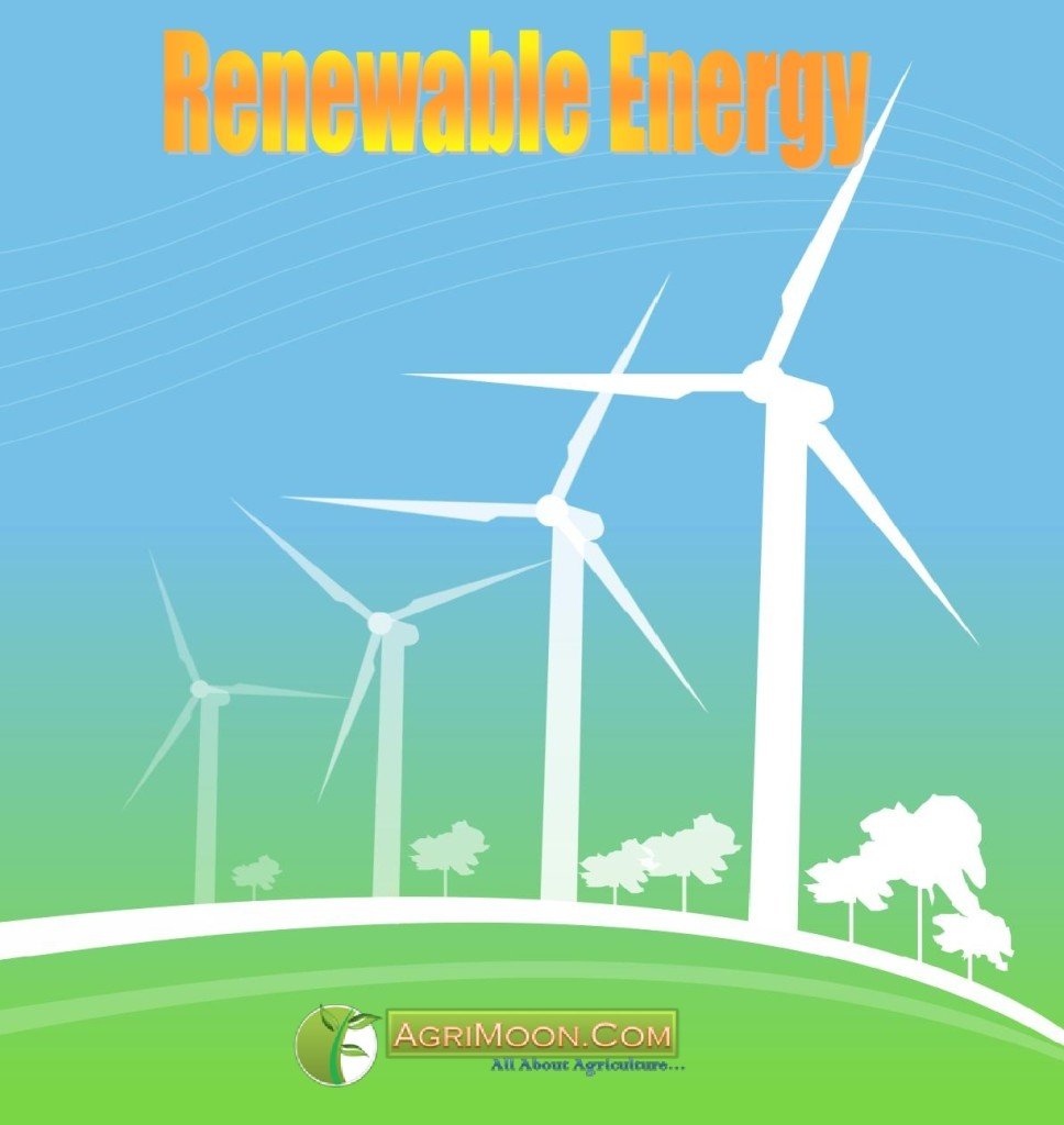 what-are-the-different-types-of-renewable-energy-climate-council