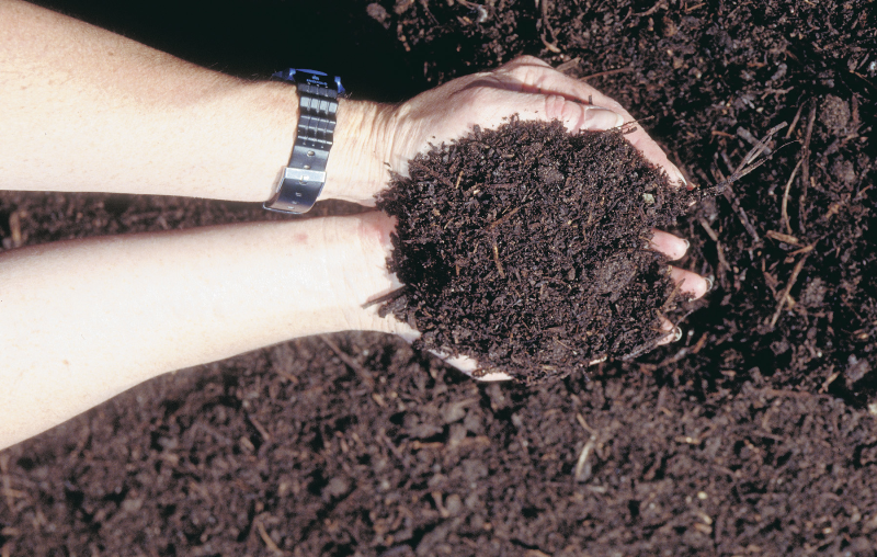 soil-organic-carbon-agrimoon