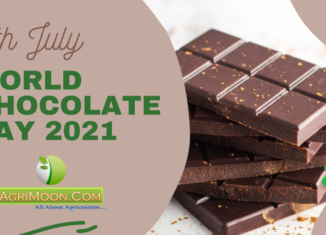 World Chocolate Day 2021
