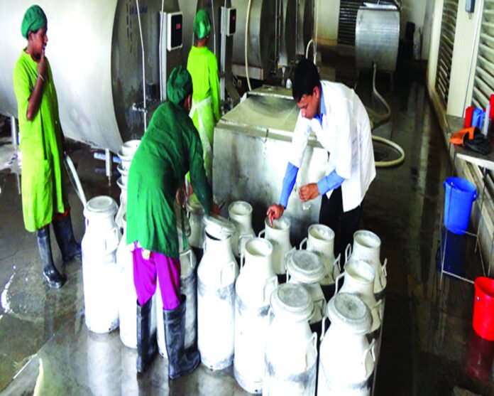 cooperative-university-to-power-dairy-sector