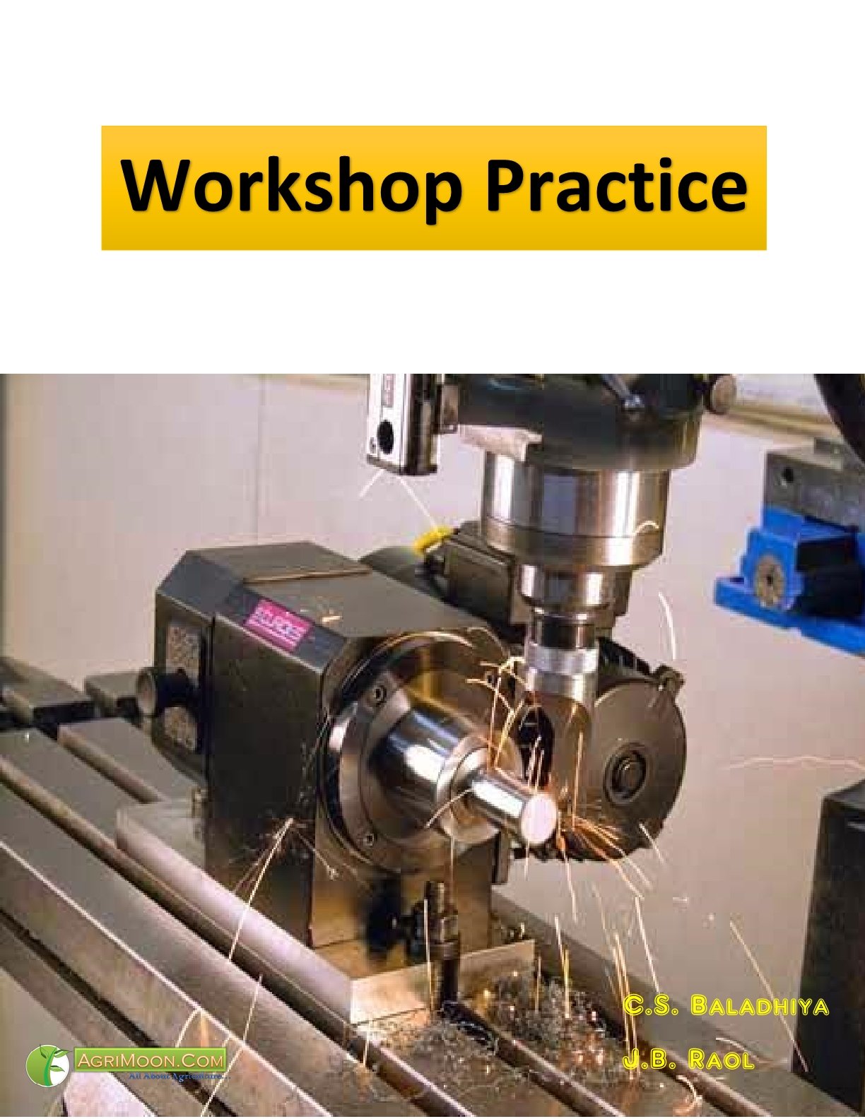 Workshop Practice PDF Book Free Download AgriMoon