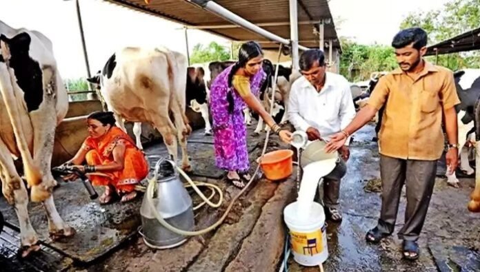 dairy-co-op-copy