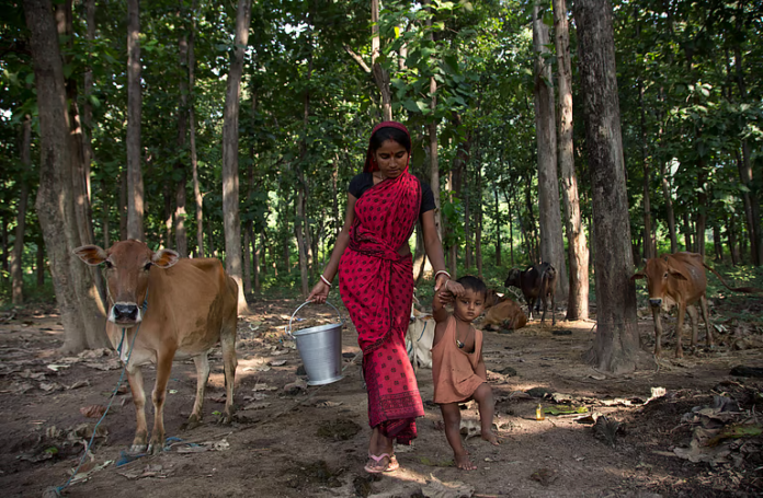 Rural Women Drive ₹5,000-Crore Dairy Economy in Uttar Pradesh