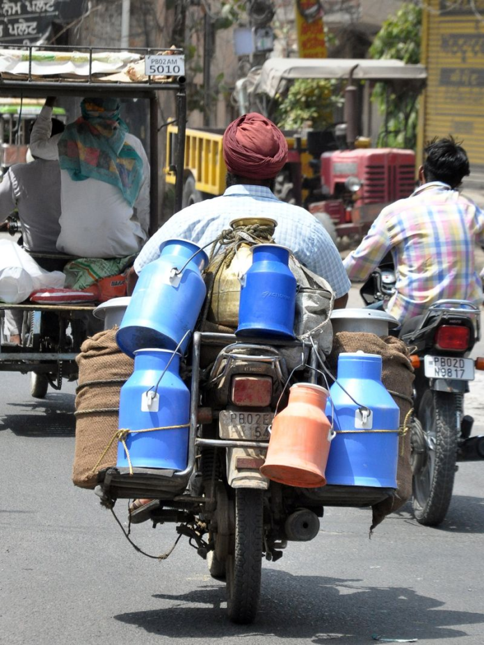 Milk Prices Rise by ₹5/Litre in Jalandhar Amid Rising Input Costs Milk Prices Rise by ₹5/Litre in Jalandhar Amid Rising Input Costs