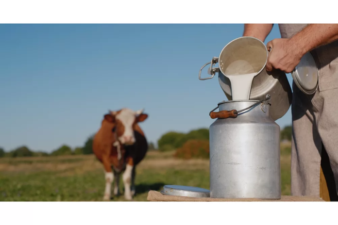 Milk Producers Receive Record ₹34.18 Crore Monthly Benefit as Dairy Sector Expands