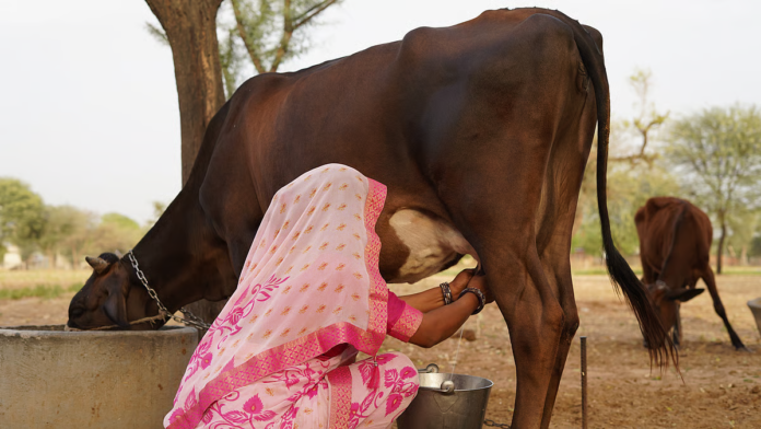 Which State Leads India in Milk Production and What Are FSSAI Standards for Milk