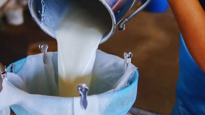 India’s Dairy Sector: Demand–Safety Imbalance in a Fragmented Supply Chain
