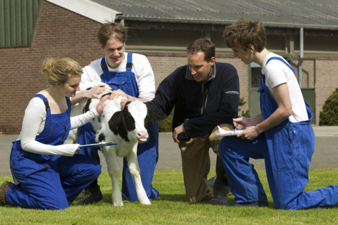 Nestlé and First Milk Launch ‘Young Dairy Leaders’ Initiative to Build Future-Ready Farmers