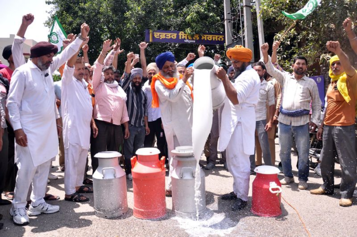 Dairy Farmers Spill Milk Outside DC Office in Amritsar Over Alleged Sale of Adulterated Dairy Products
