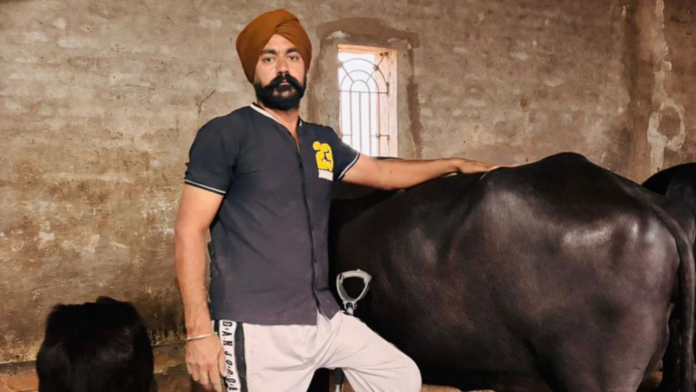 Punjab Farmer Defies Disability, Builds Successful Dairy Business in Moga