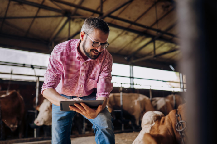 Dairy Cost Control Becomes Critical as Farmers Face Rising Expenses