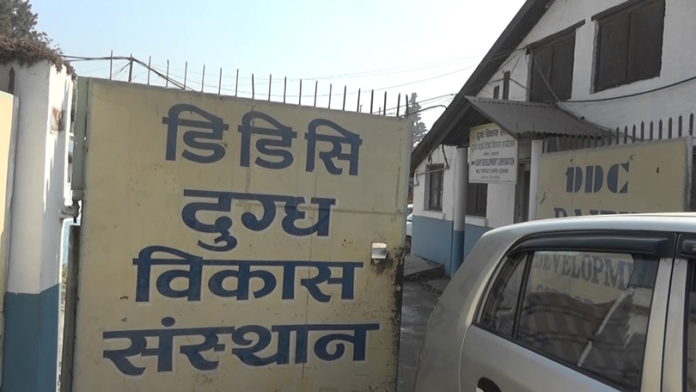 Dairy Development Corporation Paying Dairy Farmers Rs 10 Million Daily