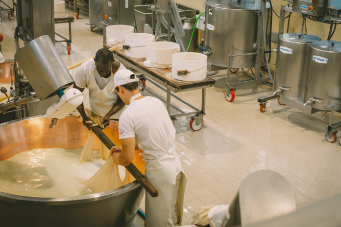 Who leads World's Largest Milk Producer ? Top 7 milk-producing countries in world in 2026