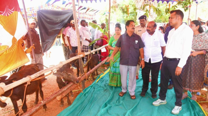 Andhra Pradesh Promotes Animal-Centric Breeding Programme to Enhance Dairy Farmers’ Income