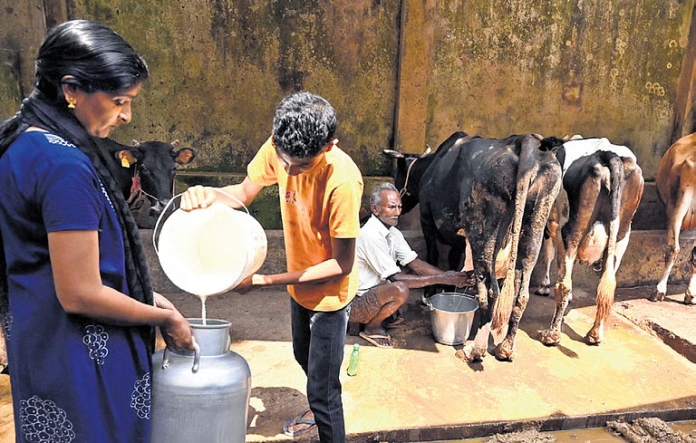 Tamil Nadu Milk Producers Seek Higher Procurement Prices Amid Rising Dairy Farming Costs