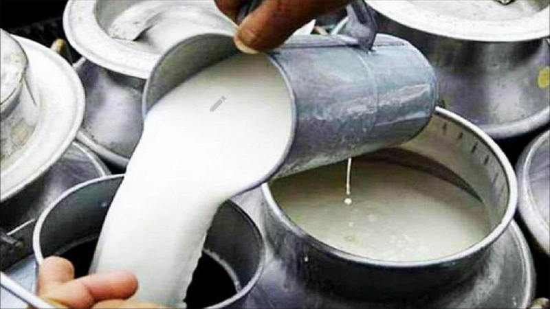 Buffalo Milk Price Fixed at ₹71; Government Will Now Purchase Only This Much Milk Daily from Each Livestock Farmer