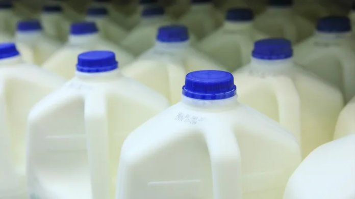 Dairy Processors Follow the Milk: New Investment Wave Reshapes U.S. Dairy Landscape