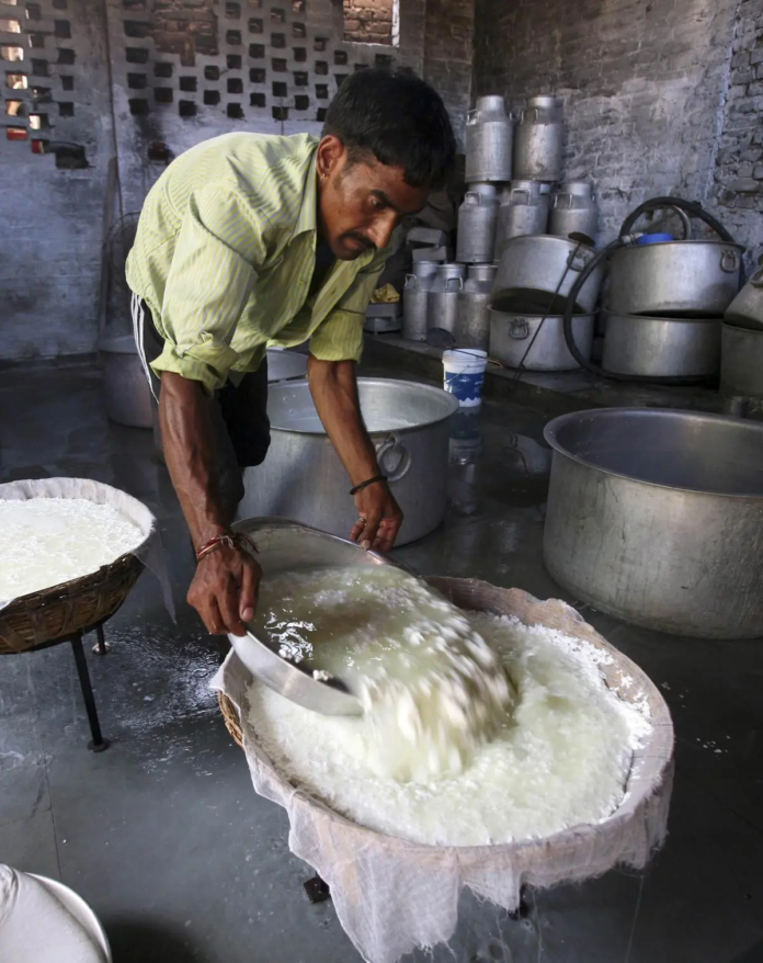 Kaladi Cheese Gets Scientific Boost, Eyes National and Global Markets