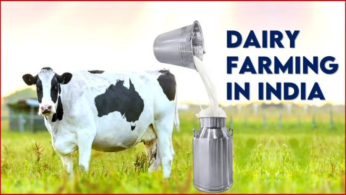 Dairy Farming in India: From Traditional Livelihood to Modern Agribusiness Tips