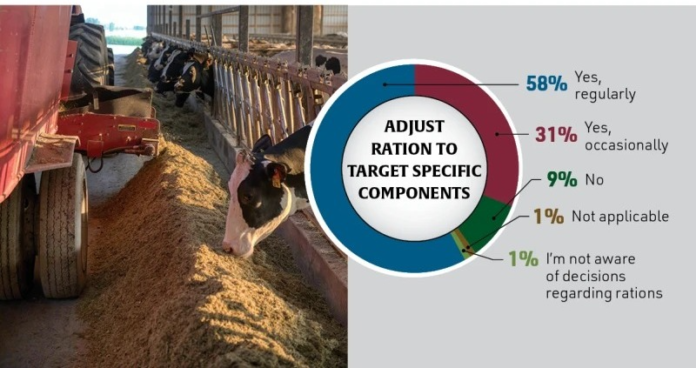 Precision Nutrition and High-Quality Forage Become Dairy Farmers' Lifeline as Profit Margins Tighten in 2026