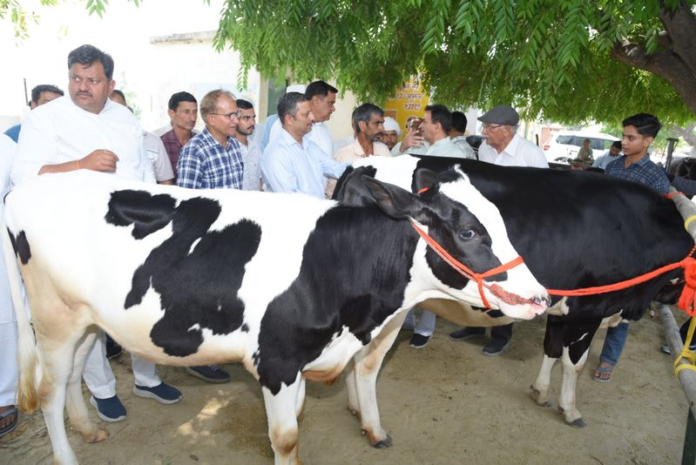 ICAR-NDRI's AI-Based Breed Improvement Model Boosts Dairy Productivity, Shows Promising Results in Uttar Pradesh ICAR-NDRI's AI-Based Breed Improvement Model Boosts Dairy Productivity, Shows Promising Results in Uttar Pradesh