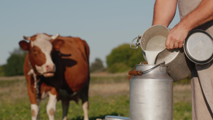 Assam Targets 10 Lakh Litres of Daily Milk Production to Accelerate Dairy Growth and Rural Incomes