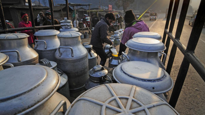 Heatwaves, Fodder Stress Threaten India's Dairy Growth; Climate Resilience Becomes the New Priority