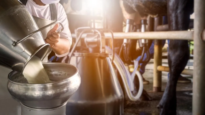 Assam's ₹5 Per Litre Milk Subsidy Drives 54.65% Growth in Milk Procurement