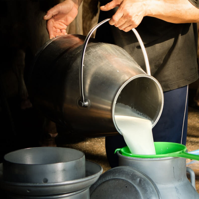 Assam Targets Integration of 400 Dairy Cooperative Societies by September Under Dairy Development Scheme Assam Targets Integration of 400 Dairy Cooperative Societies by September Under Dairy Development Scheme