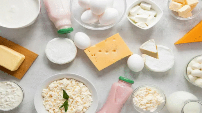 dairy products