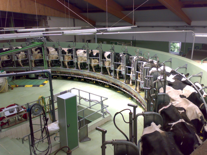 Indonesia Bets on Mega Dairy Farms to Cut Milk Imports, Boost Self-Sufficiency