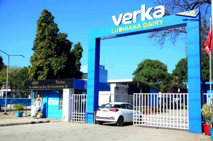 Verka Announces Major Recruitment Drive; 154 Deputy Manager Posts Open Across Punjab & HOW TO APPLY ONLINE