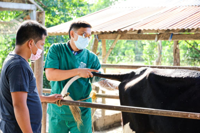 Philippines’ Dairy Output Rises 21.2% in H1 2026 as Investments Expand Local Production